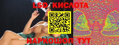 стаф Кинель
