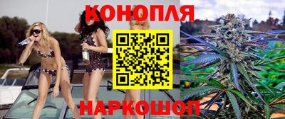 гидра Кимры