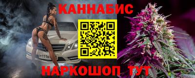 стаф Кинель
