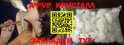 стаф Кинель