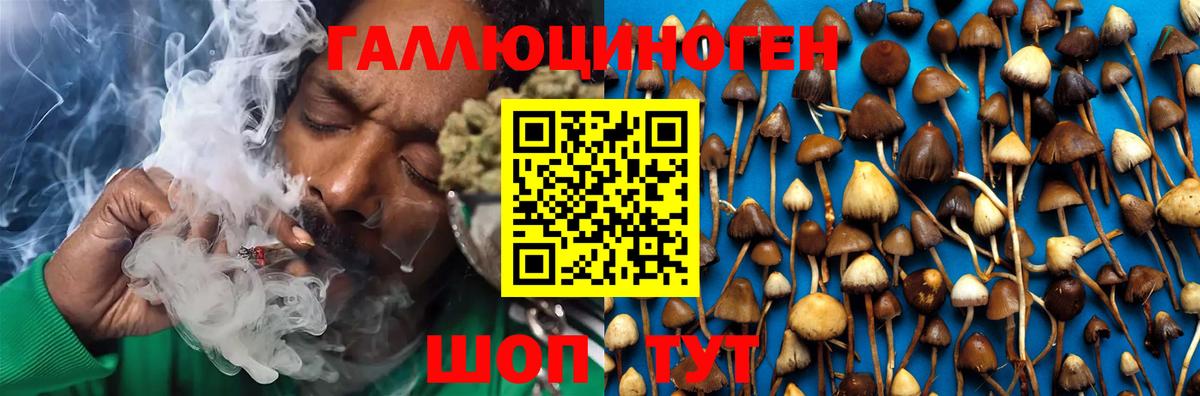 Галлюциногенные грибы Magic Shrooms Дивногорск