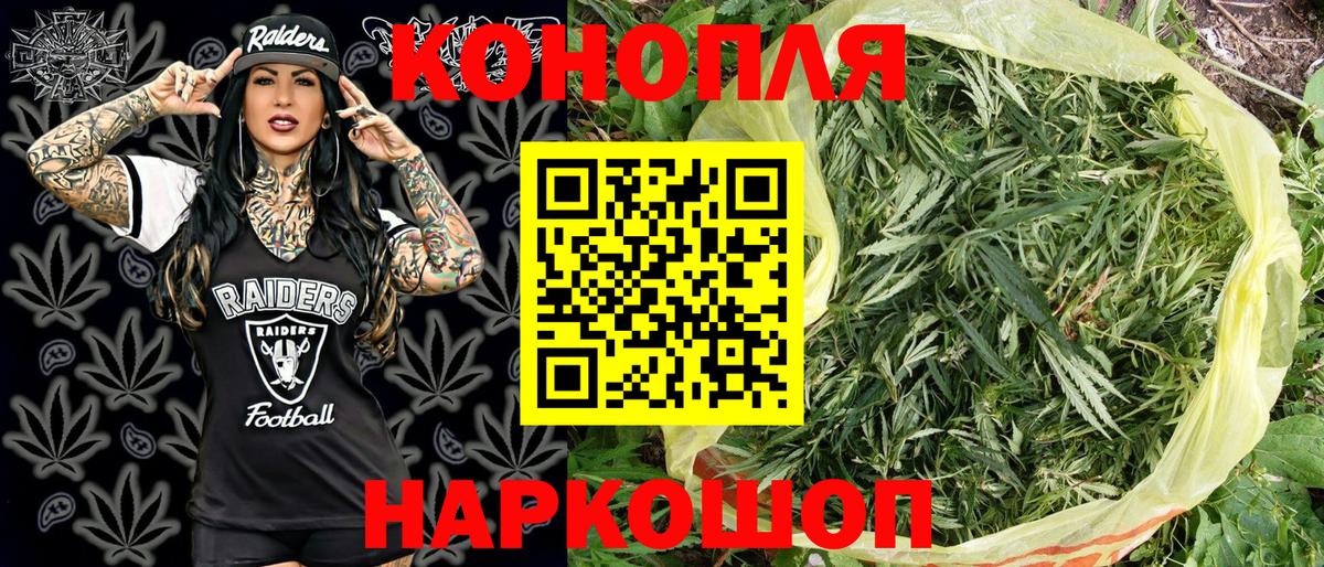 Конопля планчик  Каннабис тримм  Дивногорск  Вход с VPN 